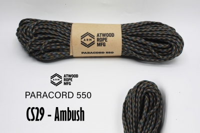 CS29-Ambush