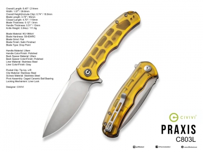 C803L Praxis