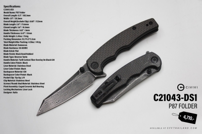 C21043-DS1  P87 Folder