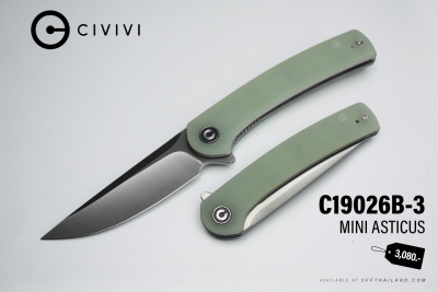 C19026B-3-Mini Asticus
