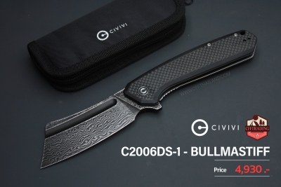 C2006DS-1-Bullma... (Discontinued)