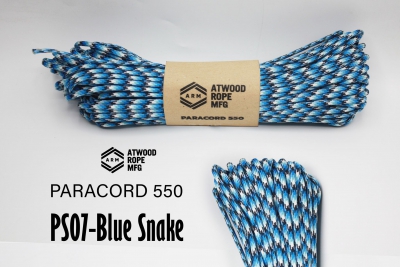 PS07-Blue Snake