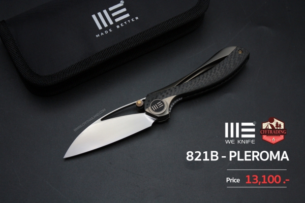 821B-Pleroma
