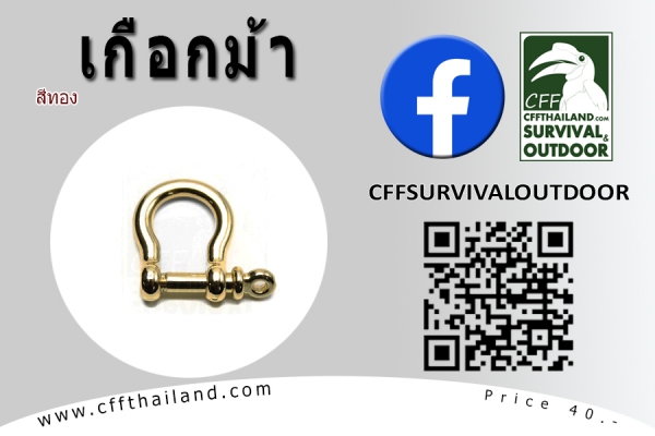 เกือกม้า (สีทอง #817)