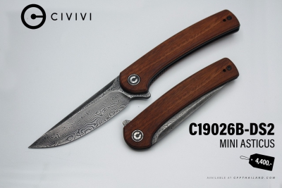 C19026B-DS2-Mini Asticus