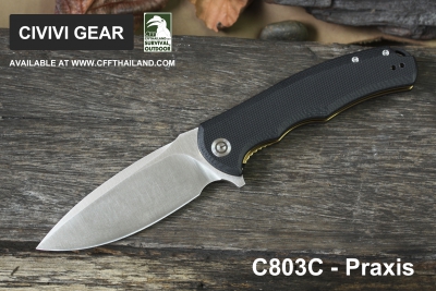 C803C-Praxis
