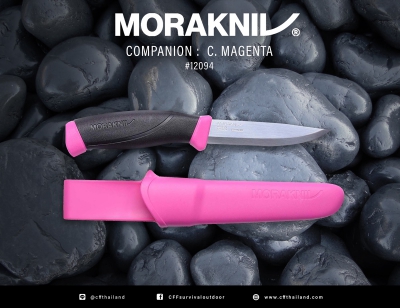 Companion C. Magenta (#12094)