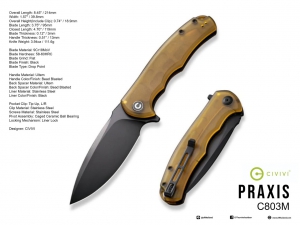 C803M Praxis