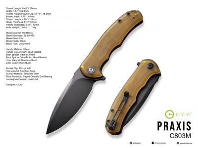 C803M Praxis