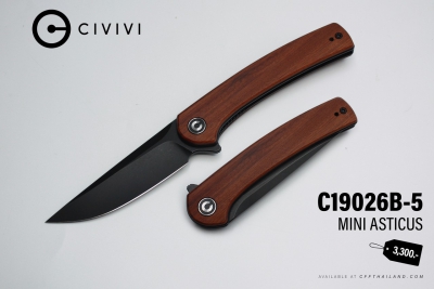 C19026B-5-Mini Asticus