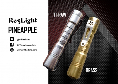 ReyLight Pineapple