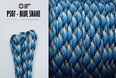 PS07-Blue Snake