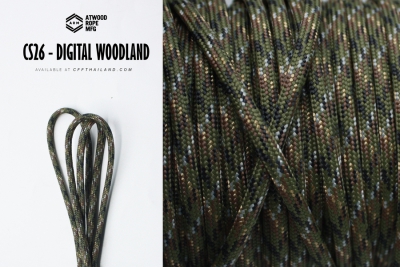 CS26-Digital Woodland