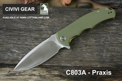 C803A-Praxis